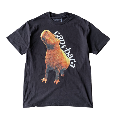Capybara Stretch Tee Shirt Outfit, For Men, For Women - Love Art USA