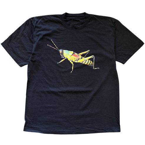 Single Grasshopper Tee Shirt Outfit