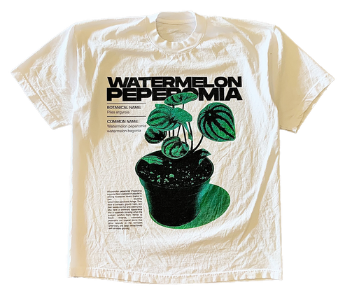 Watermelon Peperomia v1 Tee Shirt Ou …