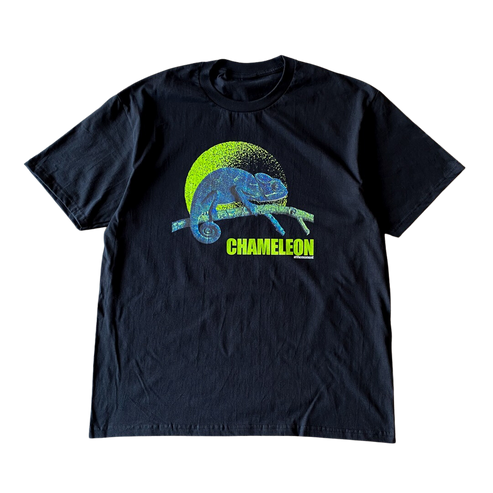 Chameleon Eclipse Tee Shirt Outfit