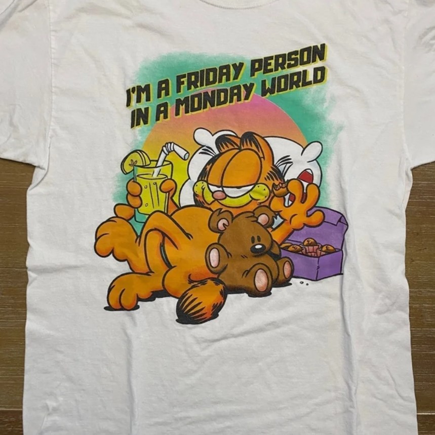 Garfield Cat Cartoon I   m a Friday Person in a Monday World …