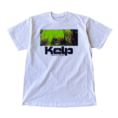 Kelp Tee Shirt Outfit