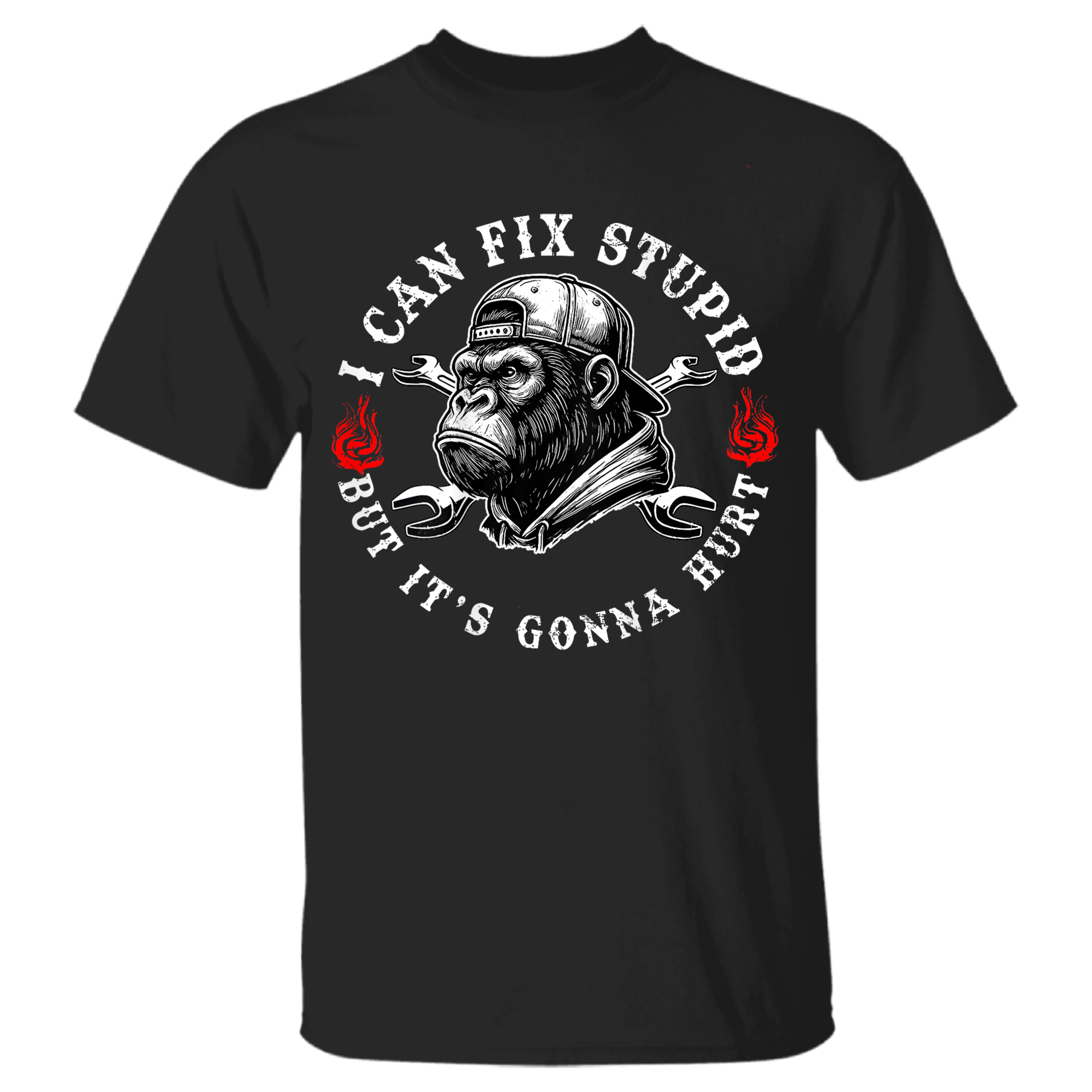 I Can Fix Stupid But It’s Gonn …